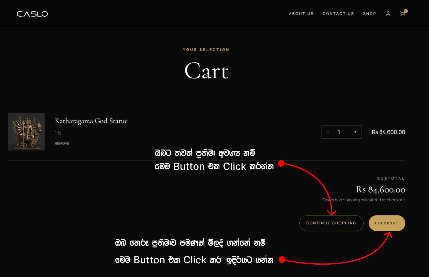 Step 4: Go to Checkout
